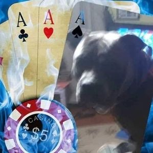 Meet your Posher, Jimmy